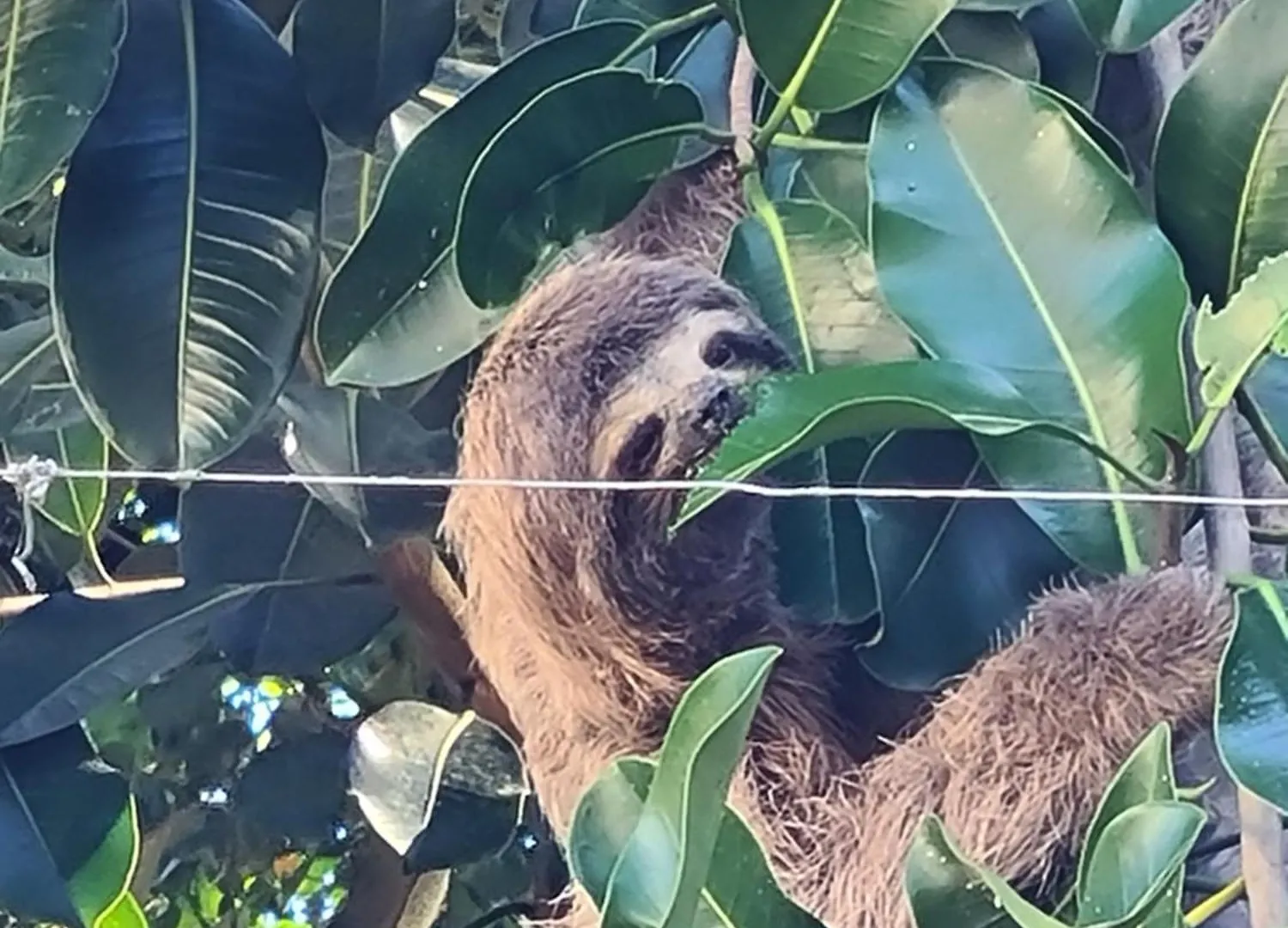 Magnólia Vila Porto Seguro Casa de Férias