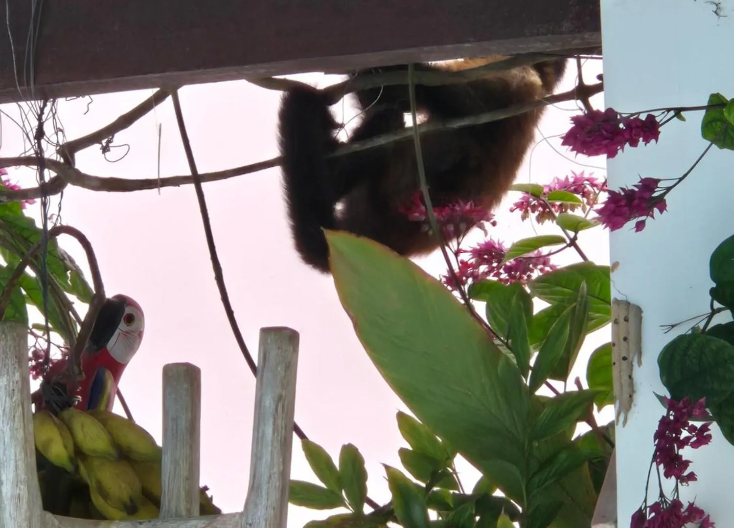 Magnólia Vila Porto Seguro